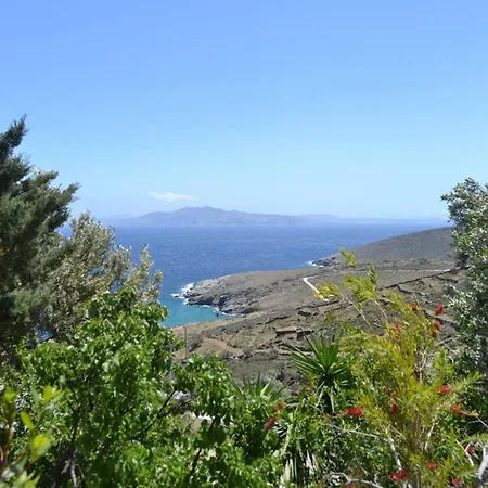 λεβάντα Daire